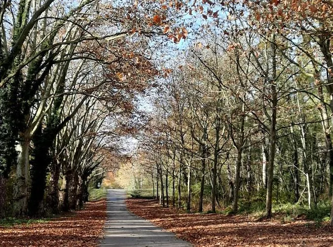 Apartment Chez Do.. Beinheim